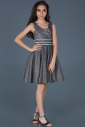 Long Silver Girl Dress ABU778