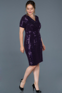 Short Purple Plus Size Evening Dress ABK586