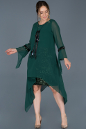 Short Emerald Green Plus Size Evening Dress ABK588