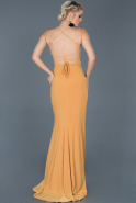 Saffron Long Invitation Dress ABU620