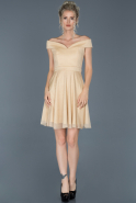 Short Mink Evening Dress ABK609