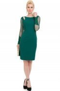 Short Green Evening Dress NZ8087