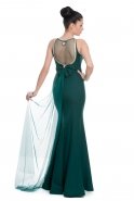 Long Emerald Green Evening Dress T2472
