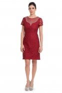 Burgundy Coctail Dress N98249