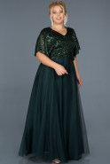 Long Emerald Green Invitation Dress ABU964