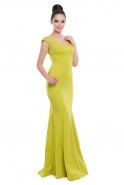 Long Pistachio Green Evening Dress C3172