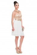Short White-Gold Prom Dress O8056