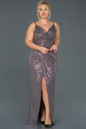 Fuchsia Long Plus Size Evening Dress ABU669