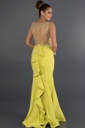 Long Pistachio Green Evening Dress F2027