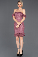 Short Rose Laced Invitation Dress ABK676