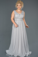 Silver Long Plus Size Evening Dress ABU963