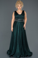 Emerald Green Long Plus Size Evening Dress ABU963