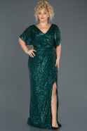 Long Green Plus Size Evening Dress ABU1006