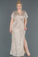 Gold Long Plus Size Evening Dress ABU1006