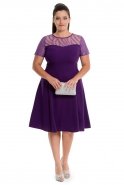 Short Purple Plus Size Dress NZ8096