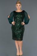 Short Emerald Green Plus Size Evening Dress ABK743