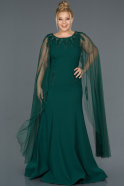 Long Emerald Green Plus Size Evening Dress ABU1135