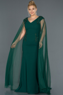 Long Emerald Green Plus Size Evening Dress ABU1136