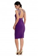 Short Purple-Copper Evening Dress NZ8264