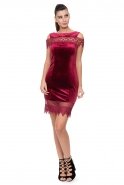 Short Burgundy Velvet Evening Dress T2707