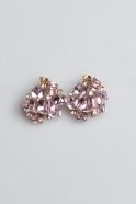 Powder Color Earring SO104