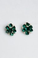 Emerald Green Earring SO104
