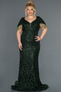 Long Emerald Green Plus Size Evening Dress ABU1224