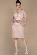 Short Powder Color Laced Plus Size Evening Dress ABK847
