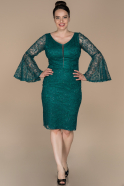 Short Emerald Green Laced Plus Size Evening Dress ABK847