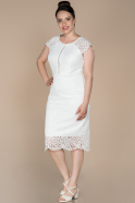 Short White Laced Plus Size Evening Dress ABK845