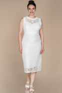 Short White Laced Plus Size Evening Dress ABK844