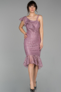 Short Powder Color Laced Invitation Dress ABK926