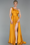 Saffron Long Engagement Dress ABU1142
