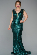 Long Emerald Green Plus Size Evening Dress ABU1698