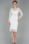 Short White Dantelle Evening Dress ABK1022