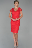 Red Short Dantelle Invitation Dress ABK1025
