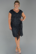 Short Smoked Color Dantelle Plus Size Evening Dress ABK1072