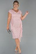 Short Powder Color Dantelle Plus Size Evening Dress ABK1072
