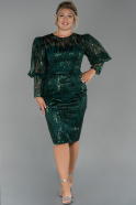 Short Emerald Green Plus Size Evening Dress ABK1074