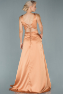 Copper Long Satin Evening Dress ABU1746