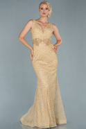 Long Gold Mermaid Evening Dress ABU1857