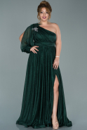 Long Emerald Green Plus Size Evening Dress ABU1844