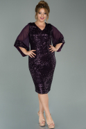 Dark Purple Short Plus Size Evening Dress ABK628