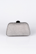 Smoked Color Silvery Box Bag V239