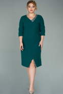 Short Emerald Green Plus Size Evening Dress ABK1153