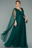 Long Emerald Green Plus Size Evening Dress ABU2015
