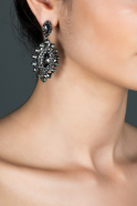 Anthracite Earring DY373