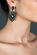 Emerald Green Earring DY373