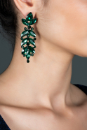 Emerald Green Earring DY376