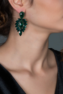 Emerald Green Earring DY370
